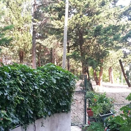 Anamarija Apartman ดูบรอฟนิก ภายนอก รูปภาพ